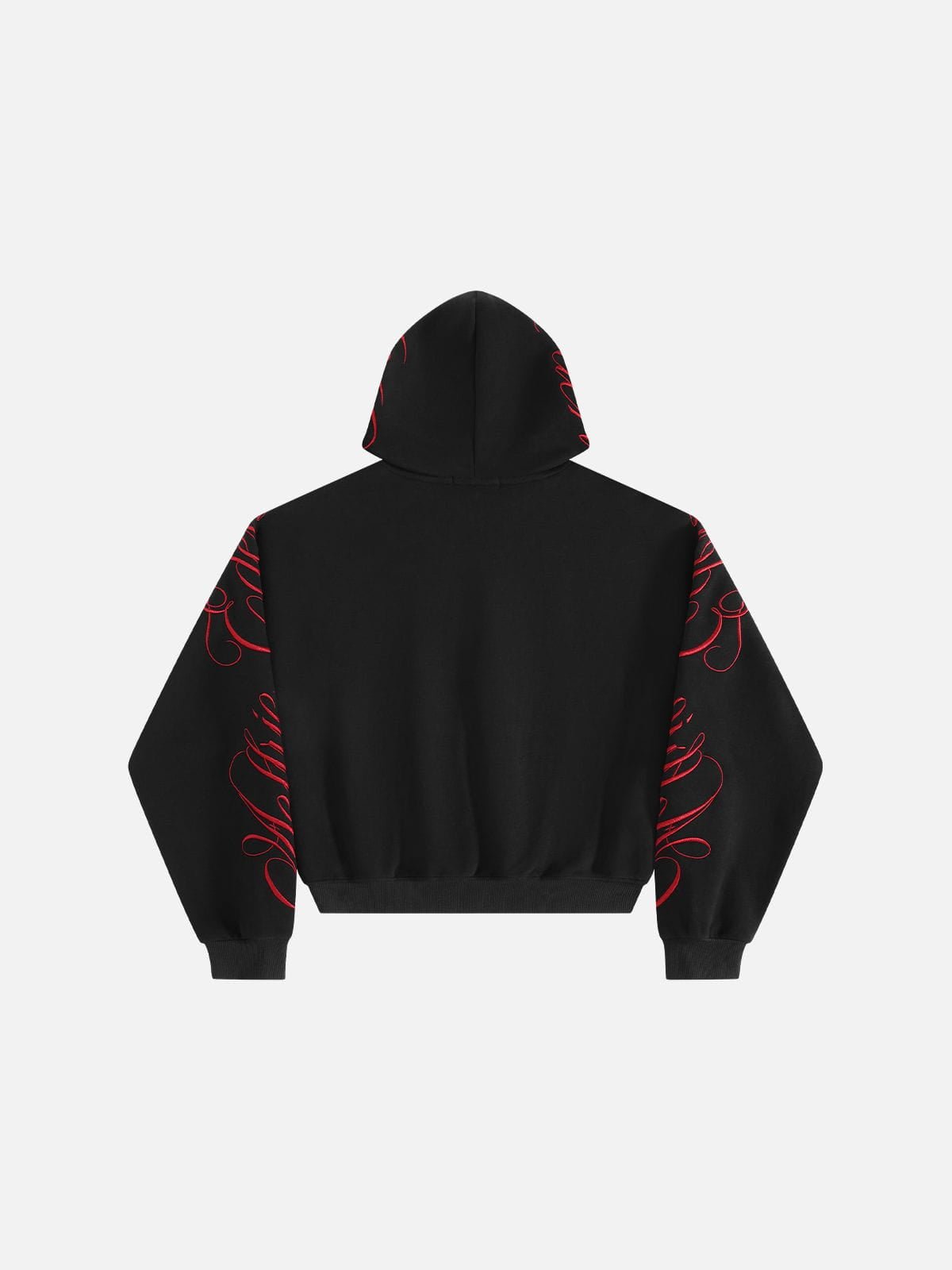 Aelfric Eden Boxy Script Embroidery Pullover Hoodie