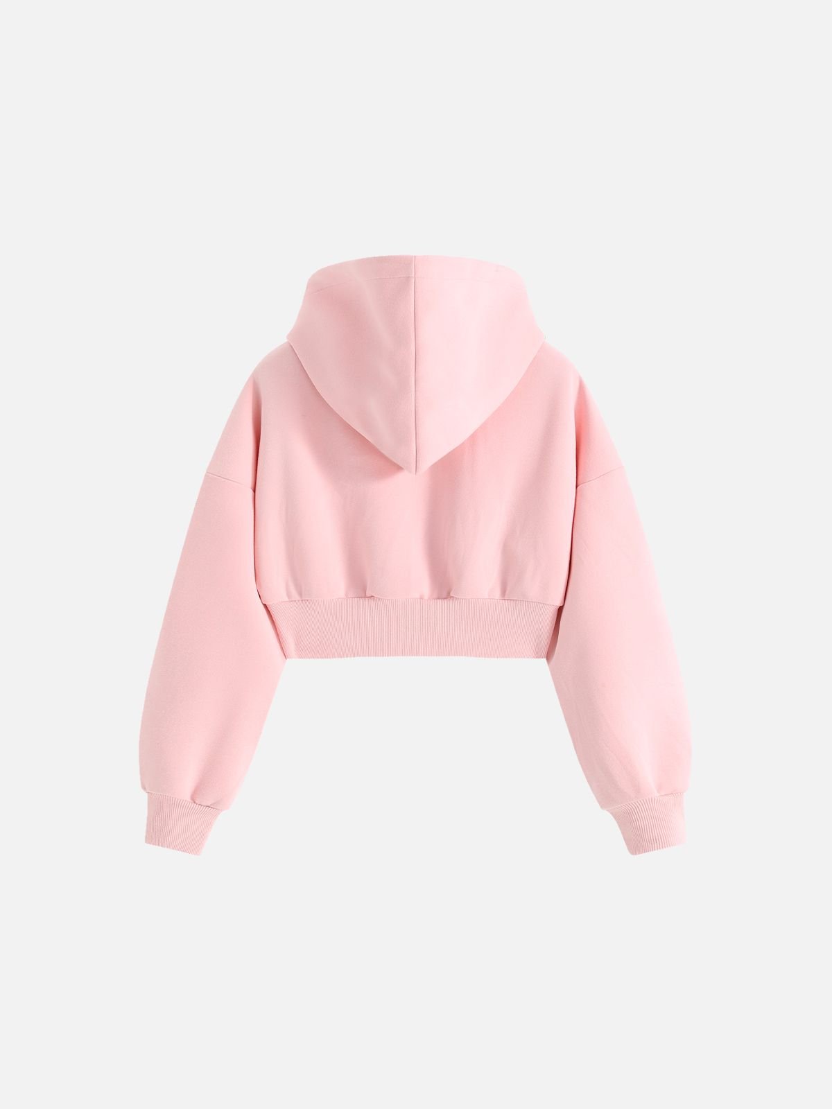 Aelfric Eden Cropped Button Zip Up Hoodie